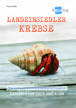 Landeinsiedlerkrebse