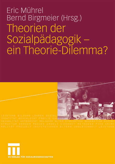 Theorien der Sozialp&auml;dagogik - ein Theorie-Dilemma? - 