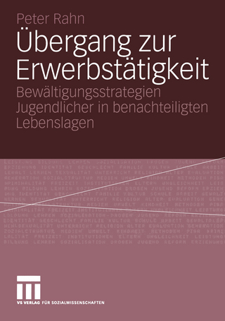 Übergang zur Erwerbstätigkeit