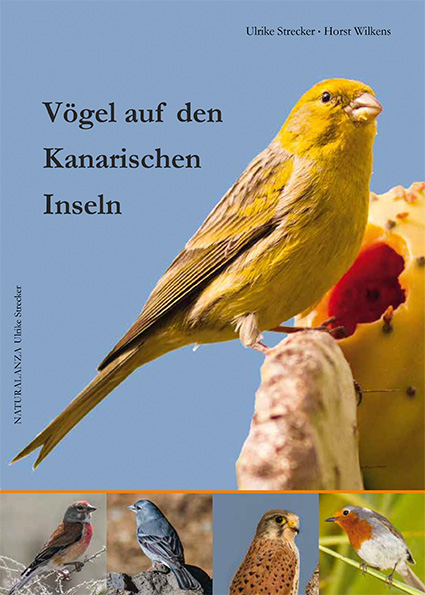 V&ouml;gel auf den Kanarischen Inseln - Ulrike Strecker, Horst Wilkens