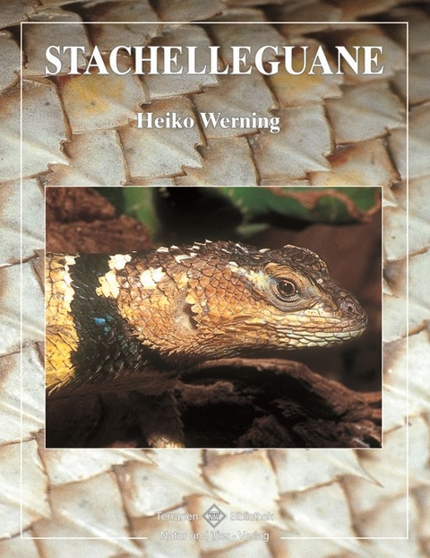 Stachelleguane - Heiko Werning