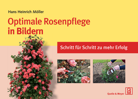 Optimale Rosenpflege in Bildern - Hans Heinrich Möller