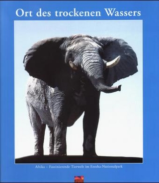 Afrika, Ort des trockenen Wassers
