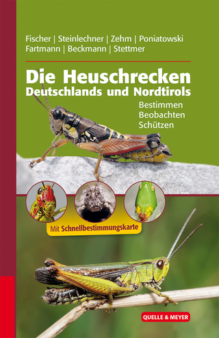 Die Heuschrecken Deutschlands und Nordtirols