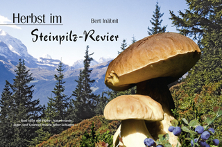 Herbst im Steinpilz-Revier