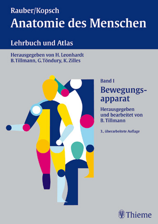 Anatomie des Menschen / Bewegungsapparat