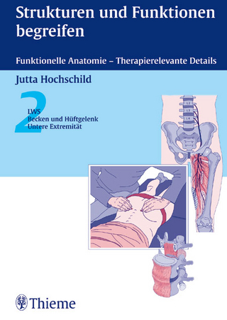 Strukturen und Funktionen begreifen. Funktionelle Anatomie - Therapierelevante Details / LWS. Becken und Hüftgelenk. Untere Extremität