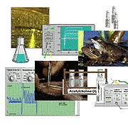 Virtual Physiology - SimHeart, SimMuscle, SimNerve, SimPatch, SimVessel