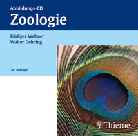 Zoologie