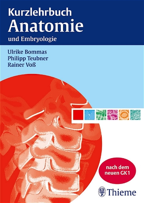 Kurzlehrbuch Anatomie - Ulrike Bommas, Philipp Teubner, Rainer Vo&szlig;