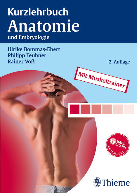 Kurzlehrbuch Anatomie - Ulrike Bommas-Ebert, Philipp Teubner, Rainer Vo&szlig;