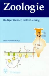 Zoologie - R&uuml;diger Wehner, Walter J Gehring