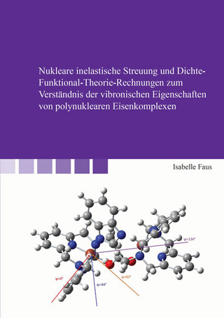 Nukleare inelastische Streuung und Dichte-Funktional-Theorie-Rechnungen zum Verständnis der vibronischen Eigenschaften von polynuklearen Eisenkomplexen