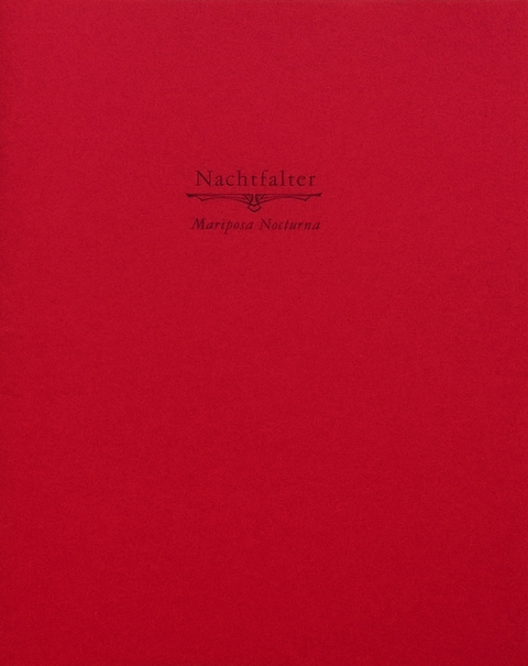 Nachtfalter - Maritza Studart