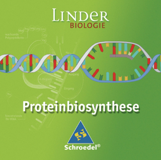 LINDER Biologie SII / Proteinbiosynthese