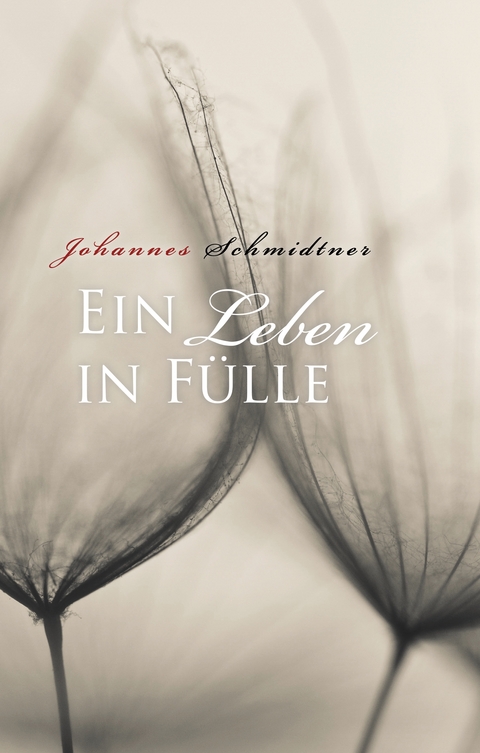 Ein Leben in F&uuml;lle - Johannes Schmidtner