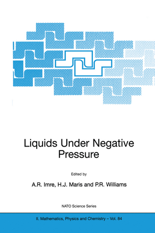 Liquids Under Negative Pressure