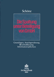 Die Spaltung unter Beteiligung von GmbH gem. §§ 123 ff. UmwG