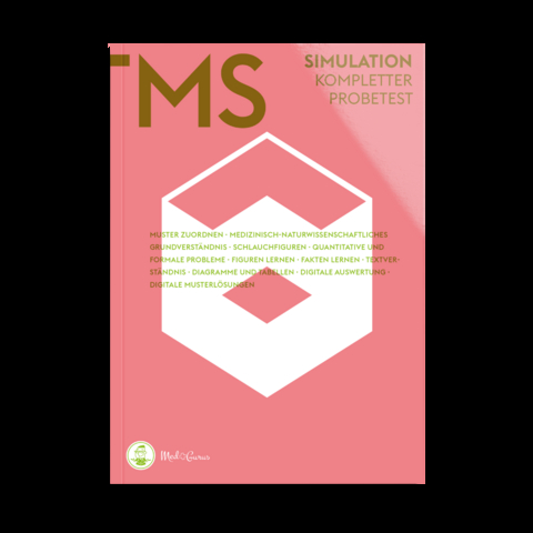 TMS & EMS Vorbereitung 2025 – Simulation - Alexander Hetzel, Anselm Pfeiffer, Constantin Lechner