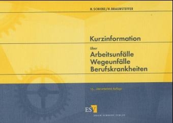 Kurzinformation &uuml;ber Arbeitsunf&auml;lle - Wegeunf&auml;lle - Berufskrankheiten - Heinz Schieke, Heike Braunsteffer