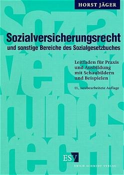 Sozialversicherungsrecht und sonstige Bereiche des Sozialgesetzbuches - Horst J&auml;ger
