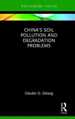 China's Soil Pollution and Degradation Problems