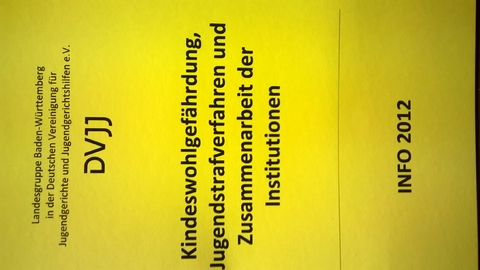 Kindeswohlgef&auml;hrdung, Jugendstrafverfahren und die Zusammenarbeit der Institutionen - 