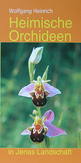 Heimische Orchideen in Jenas Landschaft - Wolfgang Heinrich