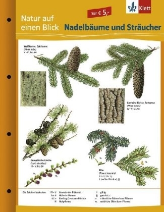 Nadelb&auml;ume und Str&auml;ucher