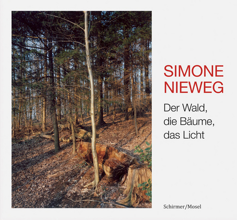 Der Wald, die B&auml;ume, das Licht - Simone Nieweg