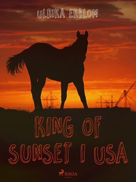 King of Sunset i USA -  Ulrika Ekblom