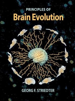 Principles of Brain Evolution - Georg F. Striedter