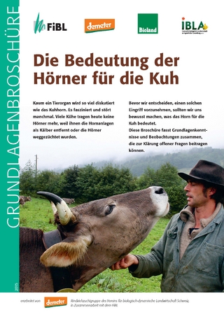 Die Bedeutung der Hörner für die Kuh