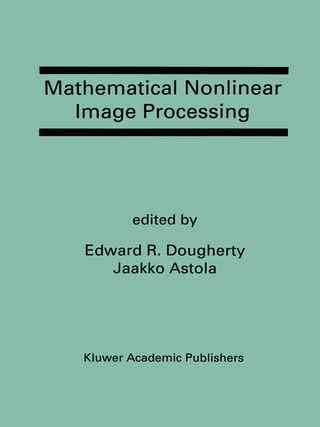 Mathematical Nonlinear Image Processing