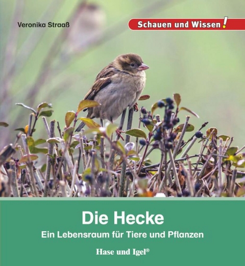 Die Hecke - Veronika Straa&szlig;