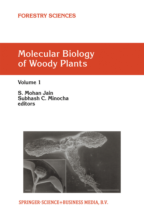 Molecular Biology of Woody Plants - 