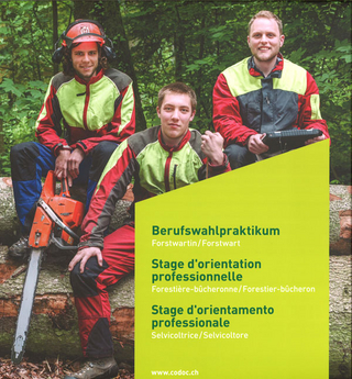 Stage d'orientation professionnelle Forestière-Bûcheronne / Forestier-Bûcheron