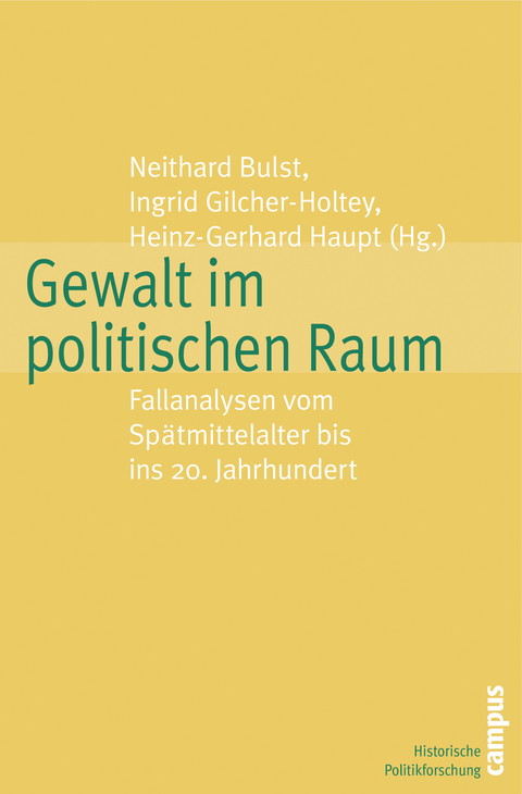 Gewalt im politischen Raum - 
