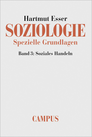 Soziologie. Spezielle Grundlagen