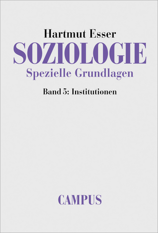 Soziologie. Spezielle Grundlagen