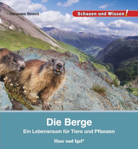 Die Berge - Veronika Straa&szlig;