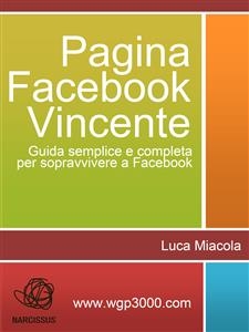 Pagina Facebook Vincente