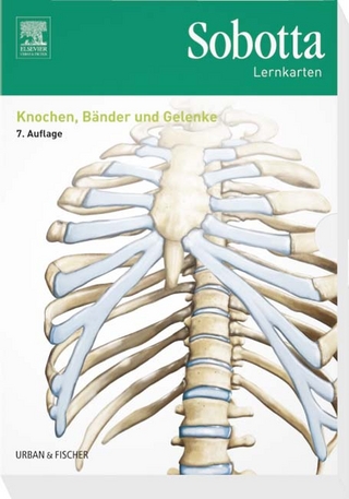 Sobotta Lernkarten Knochen, Bänder und Gelenke