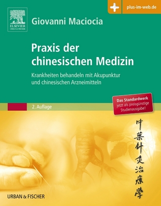 Praxis der chinesischen Medizin
