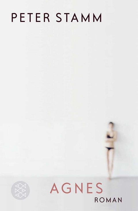 Agnes - Peter Stamm