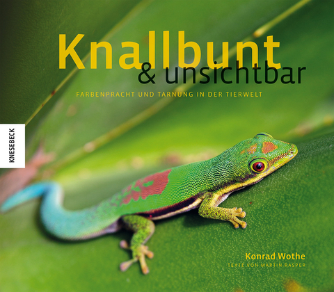 Knallbunt und unsichtbar - 