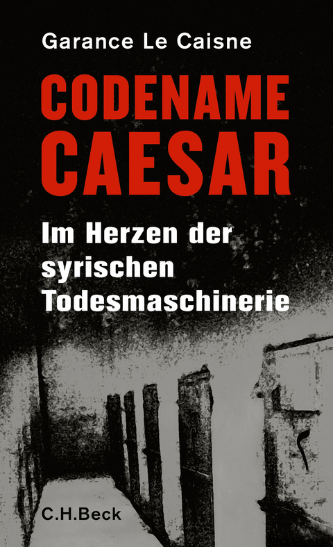 Codename Caesar - Garance Le Caisne