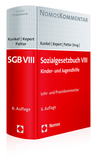 Sozialgesetzbuch VIII