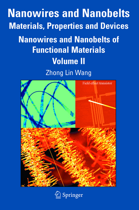 Nanowires and Nanobelts: Materials, Properties and Devices - 