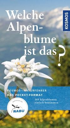 Welche Alpenblume ist das?